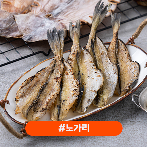 반건조 노가리포