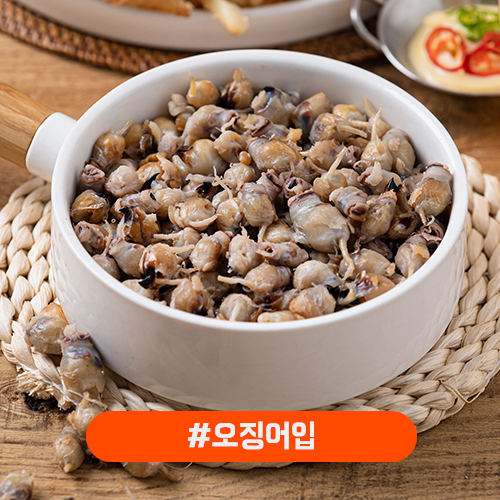오징어입