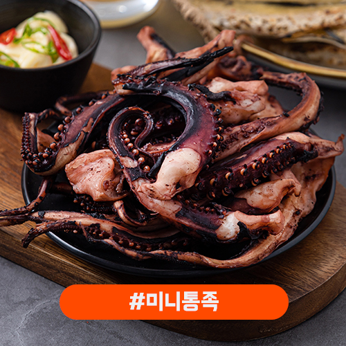대왕오징어미니통족