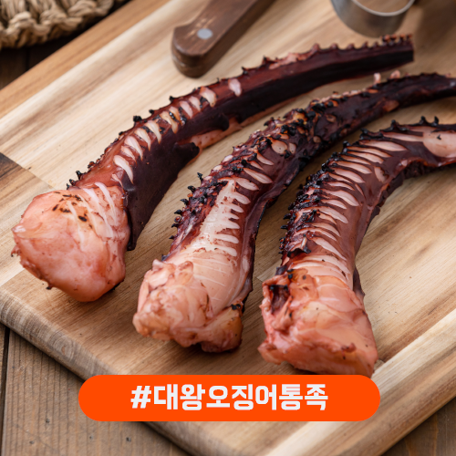 대왕오징어통족